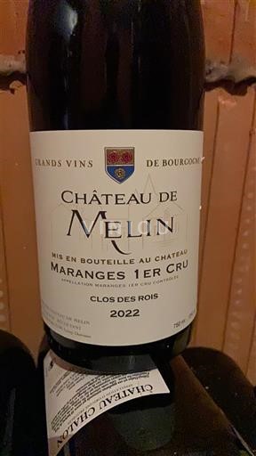 Borgonha Não especificado Premier Cru Château Melin Clos des Rois 2022