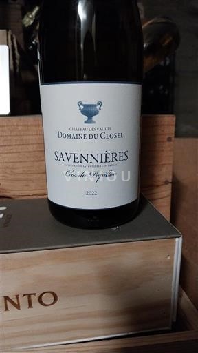 Údolí Loiry Savennières Domaine Closel Clos du Papillon 2022