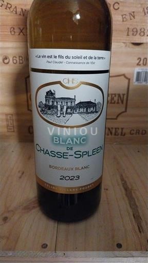 Bordeaux Bordeaux Blanc Château Chasse-Spleen Blanc de Chasse-Spleen 2023