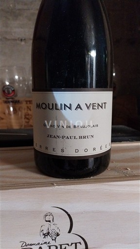 Beaujolais Moulin-à-vent Terres Dorées 2015