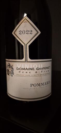 Bourgogne Pommard Domaine Gavignet Père & Fils 2022 2022