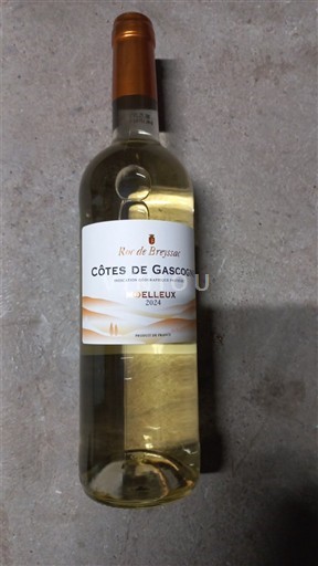 Zuidwest-Frankrijk Côtes de Gascogne Roc de Brezous 2024