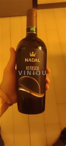 Campania Epomeo Nadal 2023