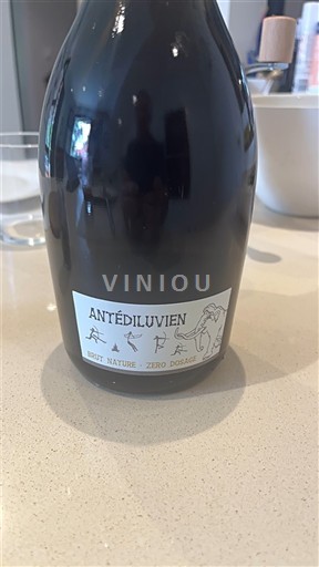 Champagne Šampanské Antédiluvien Neročník