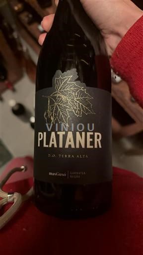 Katalánsko Terra Alta Celler Mas Garit Plataner 2020
