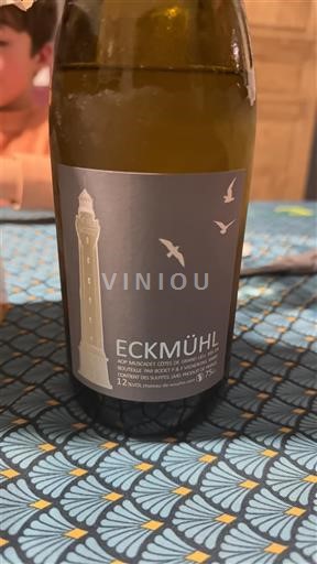 Loire Valley Loire-Atlantique Eckmühl / muscadet 2023 Non-Vintage