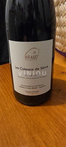 Dolina Loare Braud Tignon Les Coteaux de Sèvre 2023