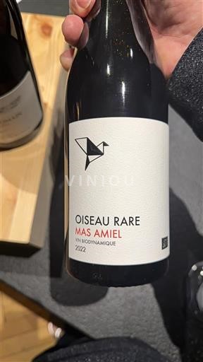 Viinit Rouge sec Oiseau Rare Mas Amiel 2022 Ranska Languedoc ja Roussillon Katalonianrinteet IGP
