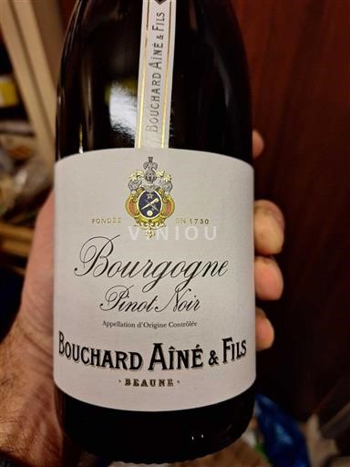 Burgundija Bouchard Aîné & Fils Pinot Noir 2023