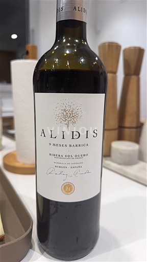 Kastilja in León Ribera del Duero Alidis 9 Meses Barrica 2022