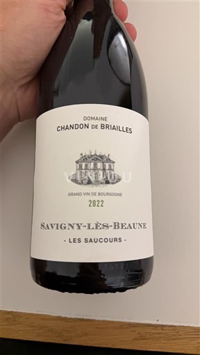 Wines Rouge sec Les Saucours Domaine Chandon de Briailles 2022 France Burgundy Savigny-lès-Beaune AOC