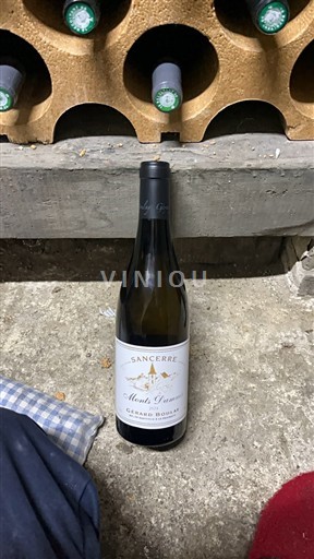 Dolina Loare Сансер Domaine Gérard Boulay Monts Damnés 2024
