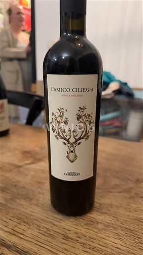 Marche Guerrieri L'Amico Ciliegia Không niên vụ