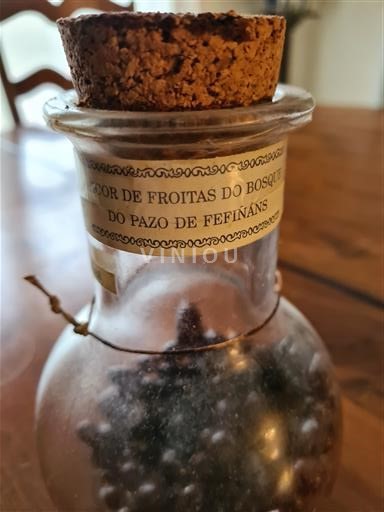 Aguardientes Aguardientes de frutas Liquor de froitas do bosque  Adega Joaquin Gil Armada 5a - 1995 España Galicia