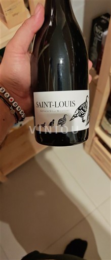 Vinos Rouge sec Saint-Louis Non millésimé Francia Beaujolais Saint-Amour AOC