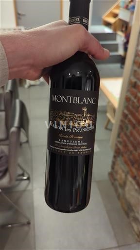 Languedoc Montblanc Maison les Prunelles 2022