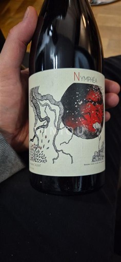 Languedoc Ikke specificeret Domaine Mamaruta Nymphéa 2024
