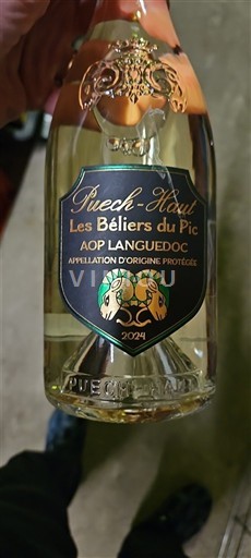 Languedoc Château Puech-Haut Les Béliers du Pic 2024