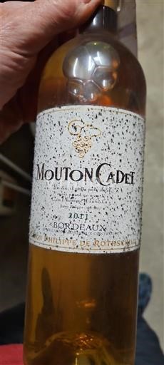 Bordeaux Mouton Cadet 2011
