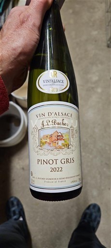 Alsacia J.L. Bucher Pinot gris 2022