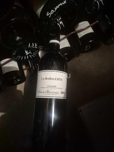 Zuidwest-Frankrijk Cahors La Marguerite d'Automne 2019