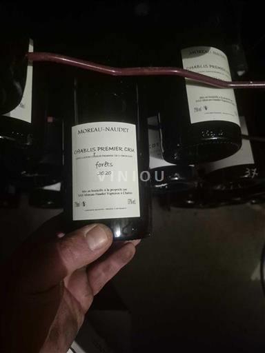 Vini Blanc sec Forêts Moreau-Naudet 2020 Francia Borgogna Chablis AOC Premier Cru