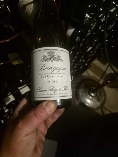 Bourgogne Simon Bize & Fils Les Champlains 2020