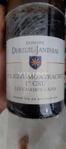 Бургундія Не вказано Premier Cru Domaine Reuil-Janthial Les Champs Gains Без вінтажу