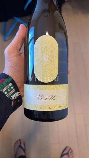 Frioul-Vénétie-Julienne Venezia Giulia Vie di Romans Dut’Un 2014