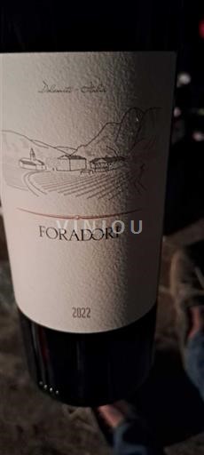 Трентіно-Альто-Адідже Виноградники Доломітів Foradori 2022