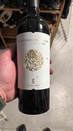 Мурсія Єкла Familia Castaño Castaño Colección Cepas Viejas 2011