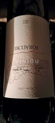 Трентіно-Альто-Адідже Терольдего Ротальяно Foradori 2022