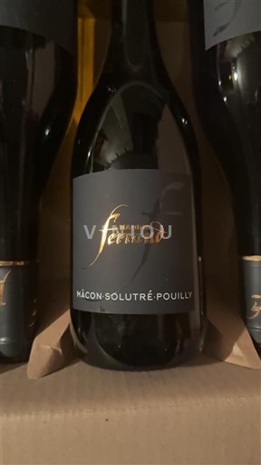 Burgund Mâcon und Mâcon-Dörfer Maison Ferrand 2024