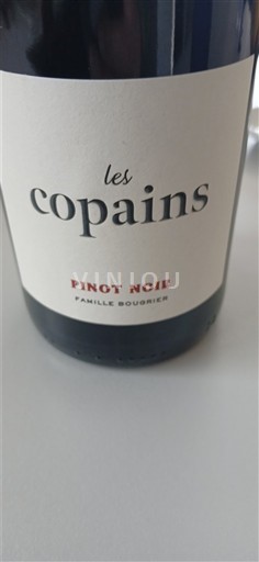 Dolina Loare Famille Bougrier Les Copains Pinot Noir Neleten.