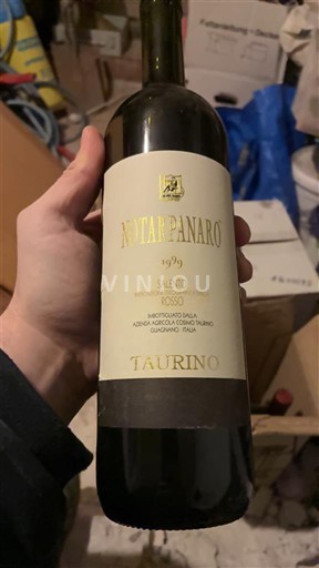 Pouilles Salento Taurino Notarpanaro 1999