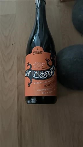 Comunità Valenciana Valencia Neleman Day Long Senza annata