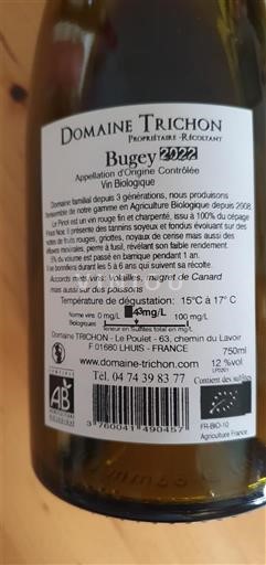 Savoja in Bugey Bugey Domaine Trichon 2022