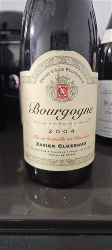 Bourgogne Xavier Cluzeaud 2004