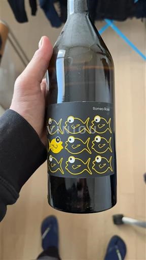 Viinit Blanc sec Malvasia Romeo Rossi 2021 Italia Friuli-Venezia Giulia Collio Goriziano DOC