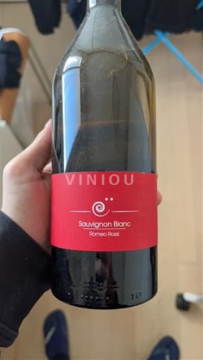 Viinit Blanc sec Sauvignon Blanc Romeo Rossi 2021 Italia Friuli-Venezia Giulia Collio Goriziano DOC