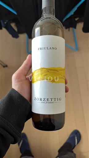 Vine Blanc sec Friulano Zorzettig 2018 Italien Friuli-Venezia Giulia Colli Orientali del Friuli DOC