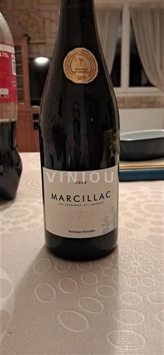 Jihozápad Marcillac Les Vignerons du Vallon 2020