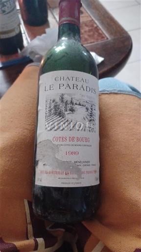 Bordeaux Côtes-de-bourg Château Le Paradis 1989