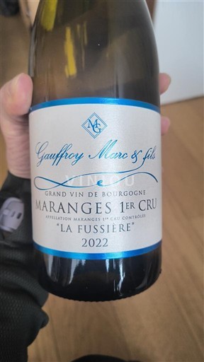 Viinit Blanc sec La Fussière Gauffroy Père & Fils 2022 Ranska Burgundi Maranges AOC Premier Cru