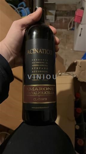 Venetia Nespecificat Stefano Accordini Acinatico 2000