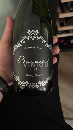 Valle della Loira Crémant-de-Loire Baumard de Finesse Senza annata