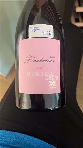 Alpi e Paesi Rodaniani Coteaux dell'Ardèche Château La Selve L'audacieuse 2022