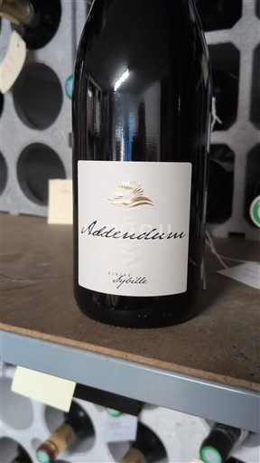 Bordeaux Domaine Lafoyelle Addendum 2023