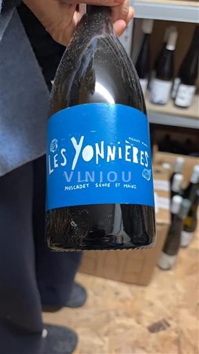 Loire-dalen Muscadet-Sèvre-et-Maine Les Yonnières 2021