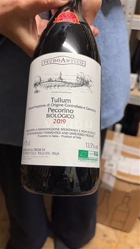 Abruzzo Määrittelemätön Feudo Antico Pecorino Biologico 2019